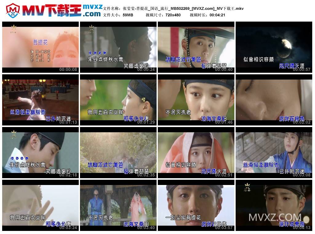 张莹莹-菩提花_国语_流行_MB502269